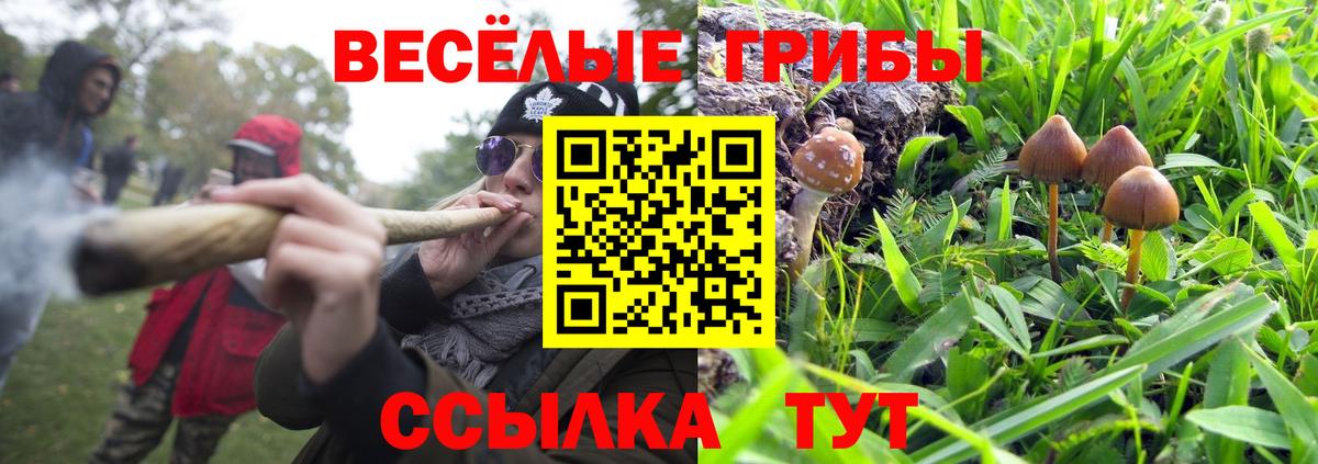 Псилоцибиновые грибы прущие грибы  Вход с VPN  Ишим 